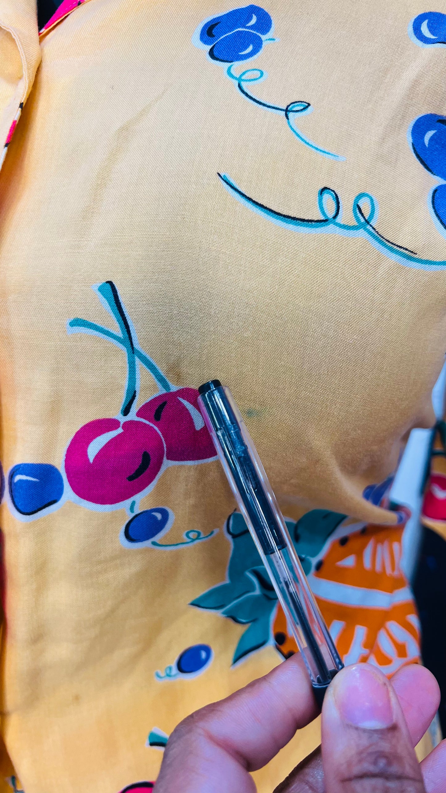 Vintage Fruit Joy Skirt Set (14)