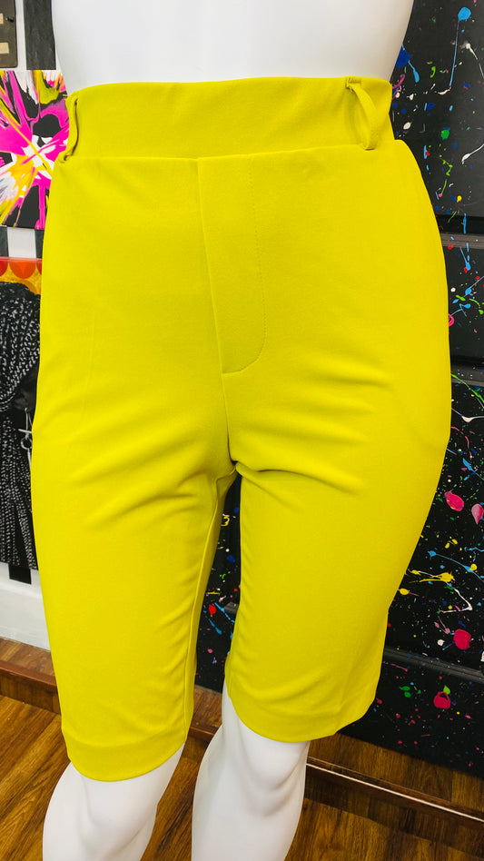 Ashley Stewart Bermuda Shorts (22)