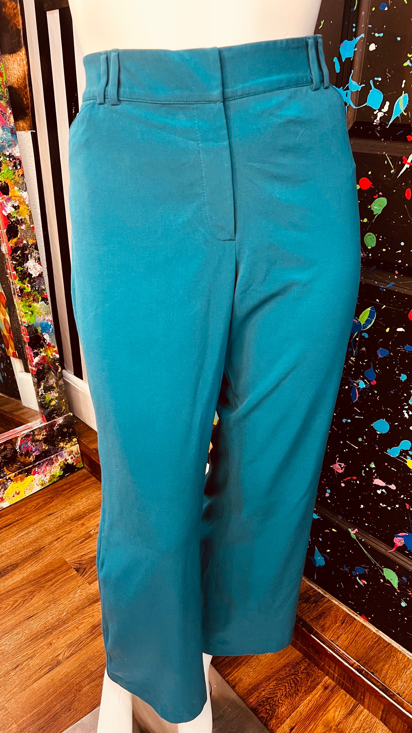 Lane Bryant Slacks (24)