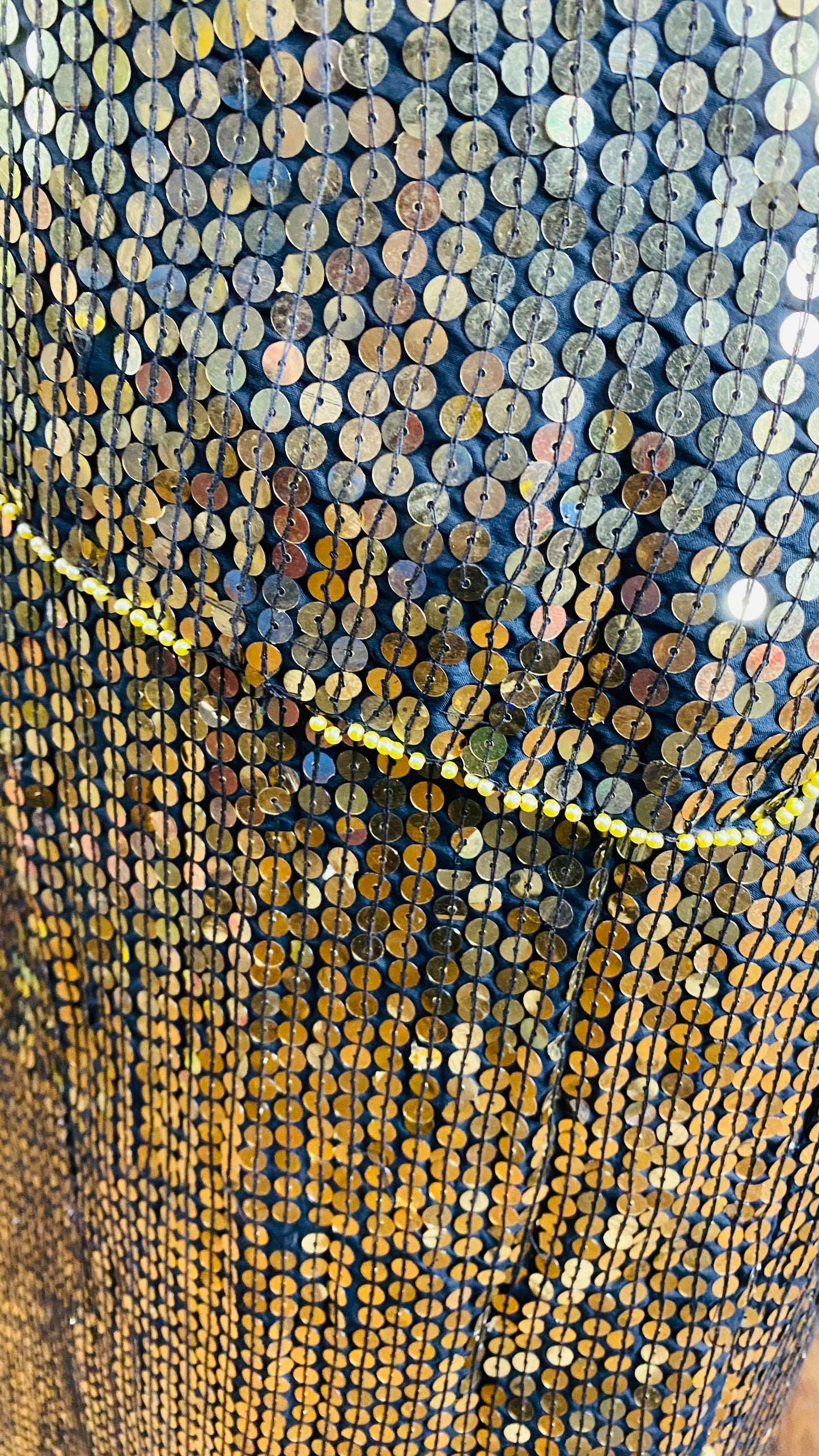 Vintage Sequin Skirt Set (18/20)