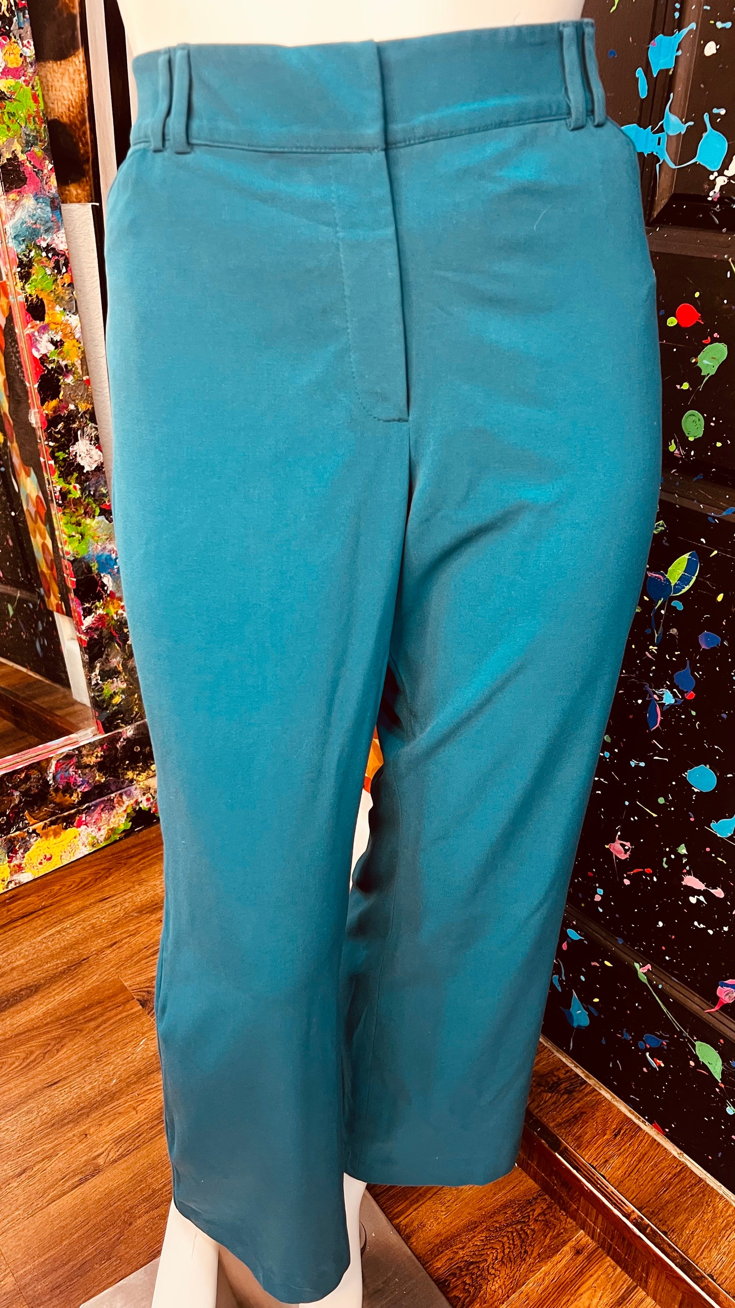 Lane Bryant Slacks (24)