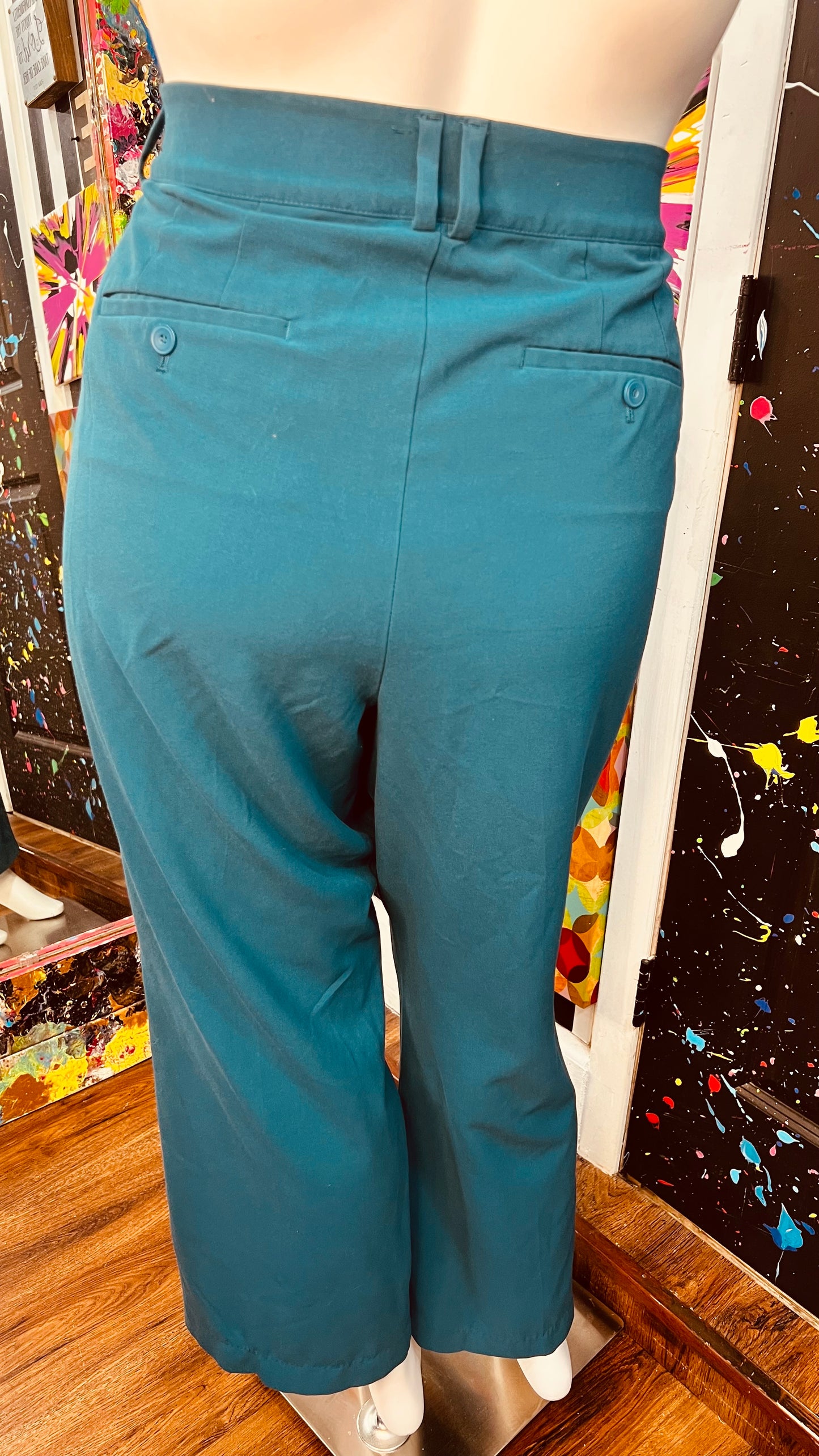 Lane Bryant Slacks (24)