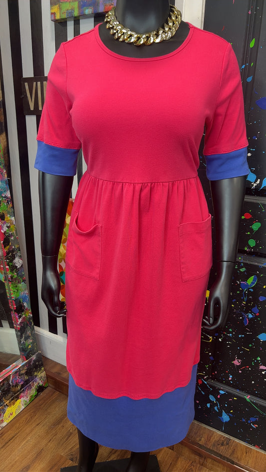 Vintage Color block Purple & Pink Dress (14/16)