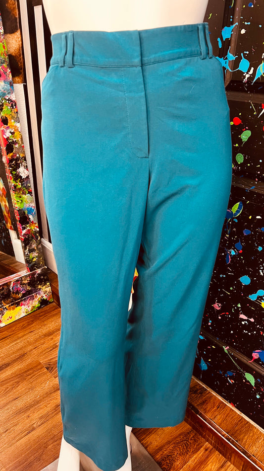 Lane Bryant Slacks (24)
