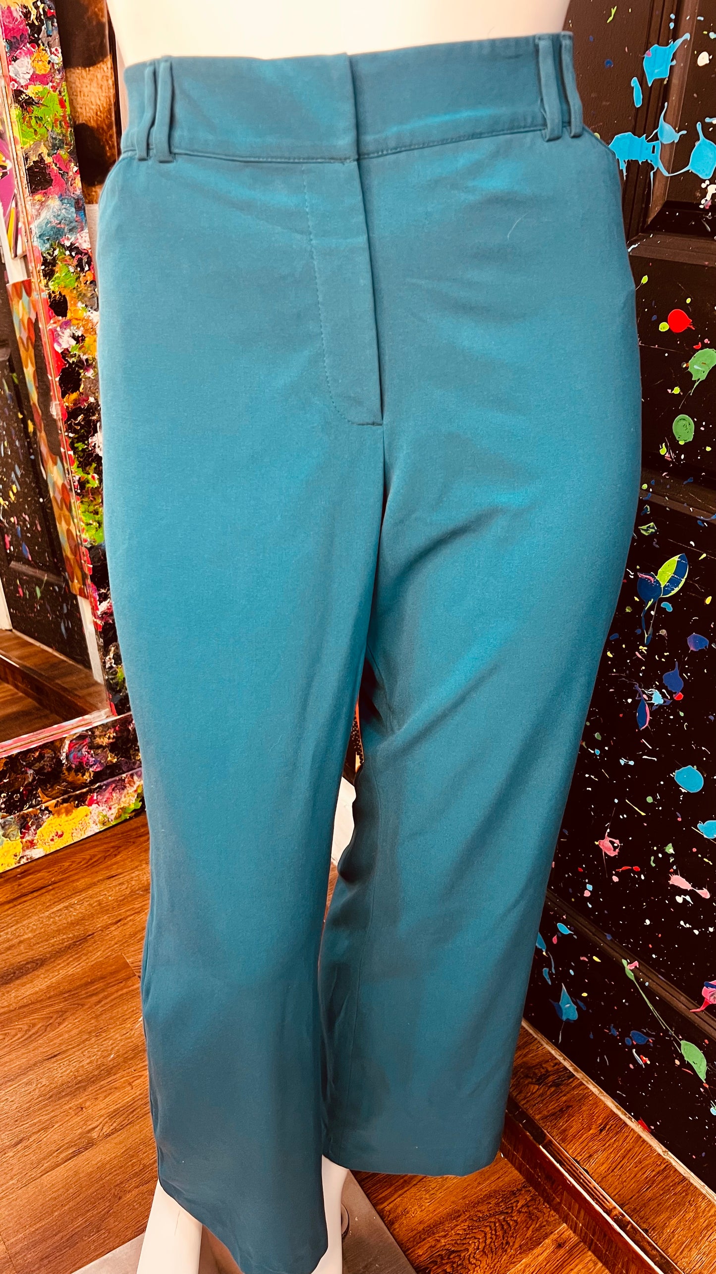 Lane Bryant Slacks (24)