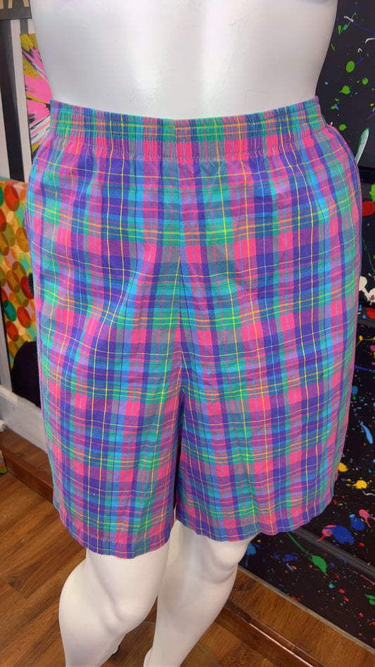 Vintage Plaid Purple & Pink Shorts (22W)