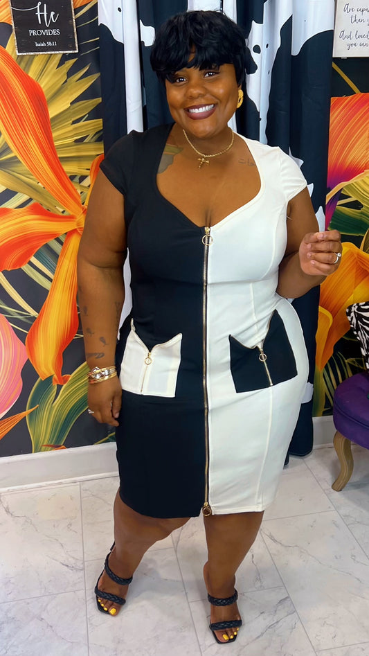 Plus Size Vintage Inspired -Sugar & Spice - Black & Taupe