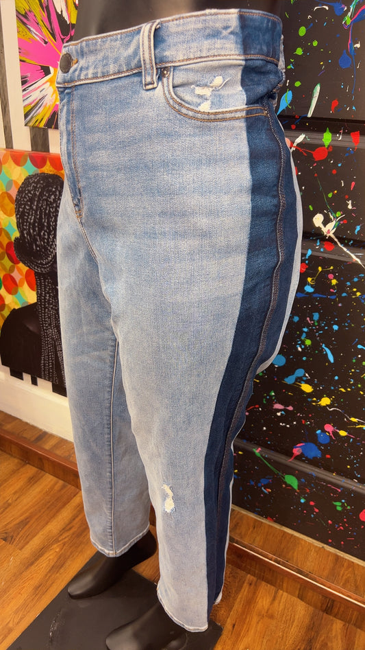 Lane Bryant Two Tone Jeans (24)