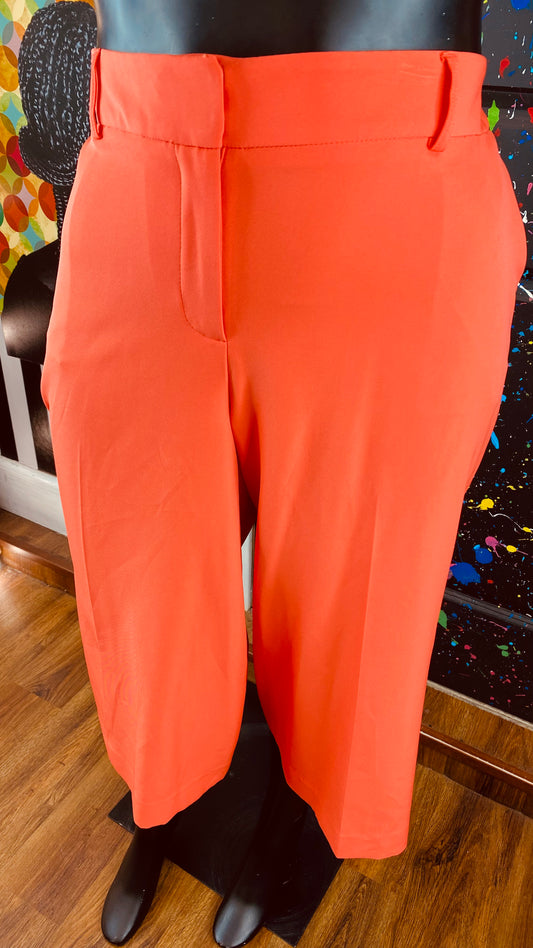 Lane Bryant Orange Shorts