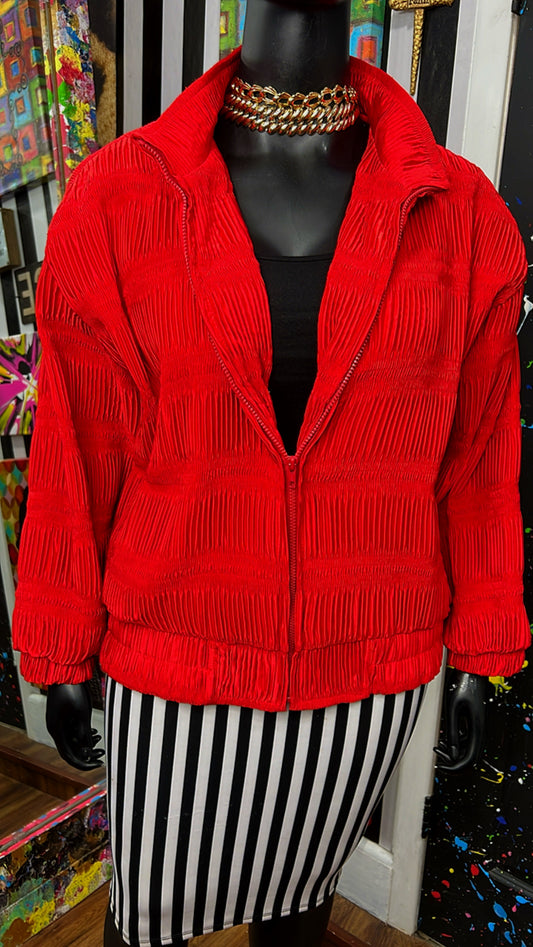 Vintage Accordion Style Jacket (22/24)