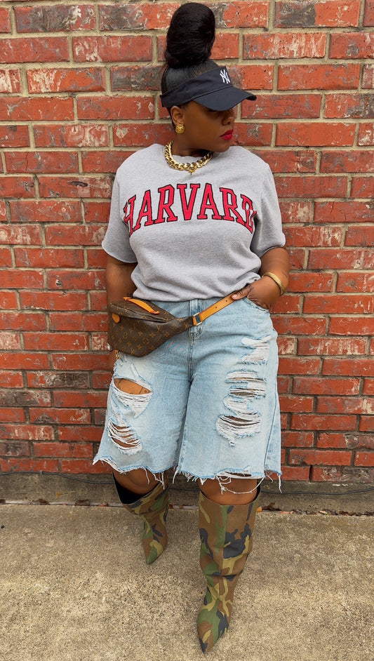 Denim Distressed Shorts (18) *KC