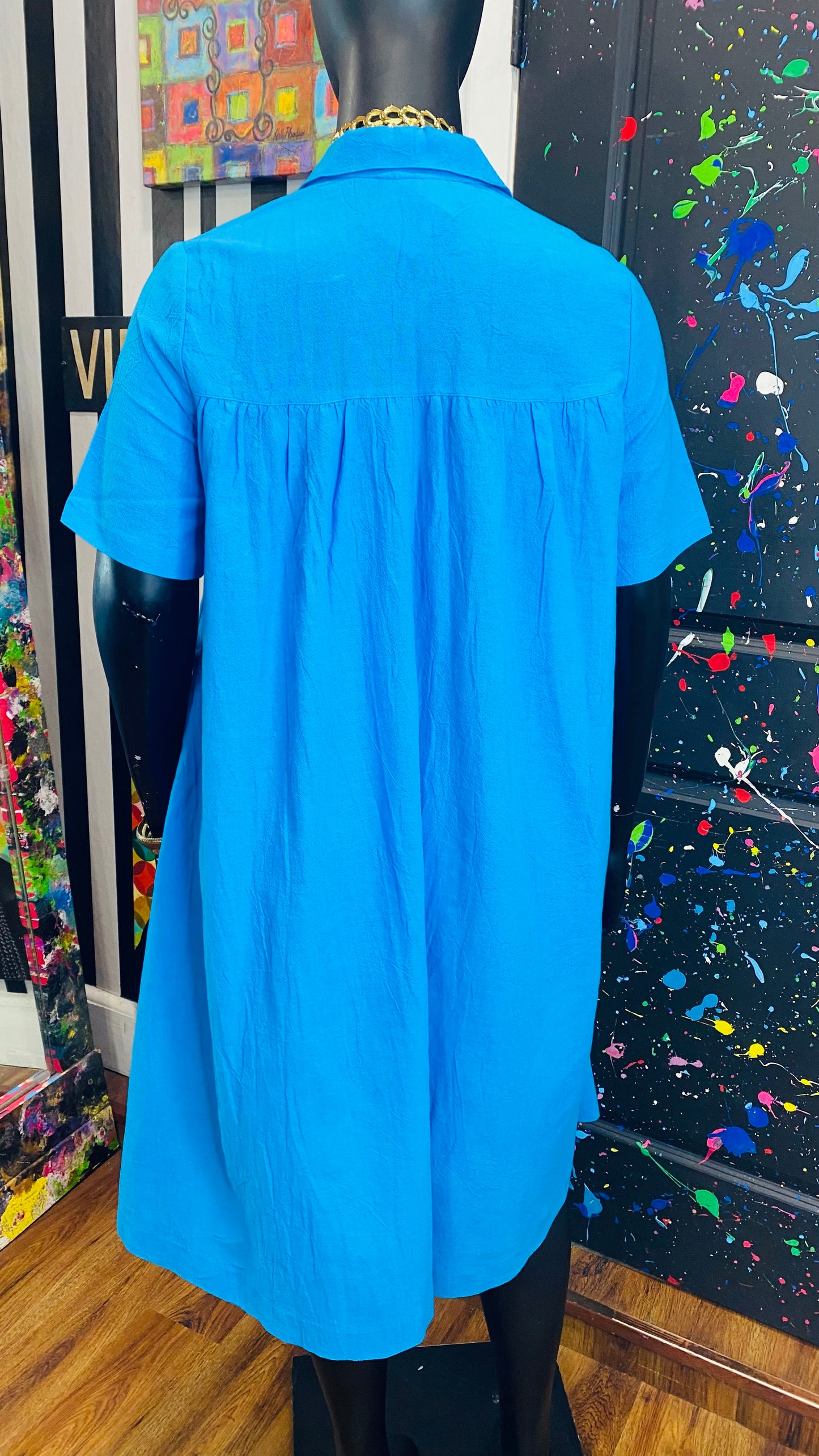 Vintage Blue Spring Dress (16)