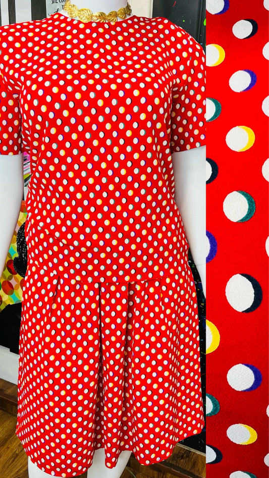 Vintage Primary Color Polka Dot Skirt Set (16)