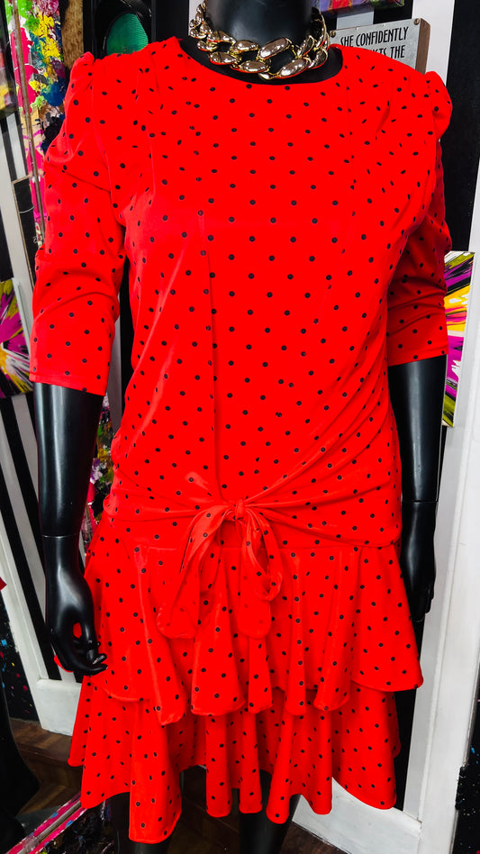 Vintage Red & Black Polka Dot Dress (12)