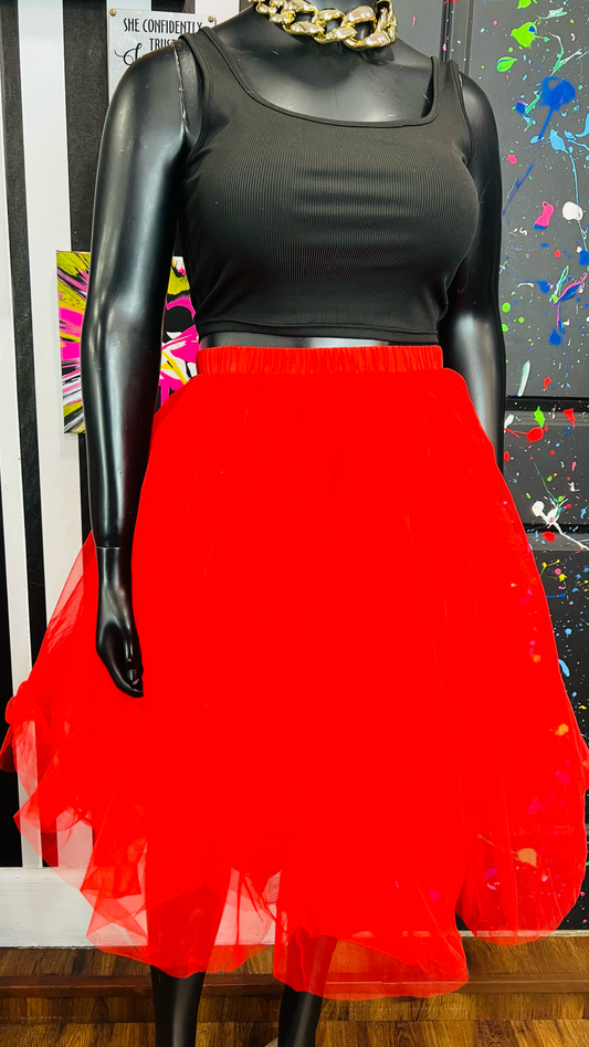 Red Tulle Skirt (14/16)