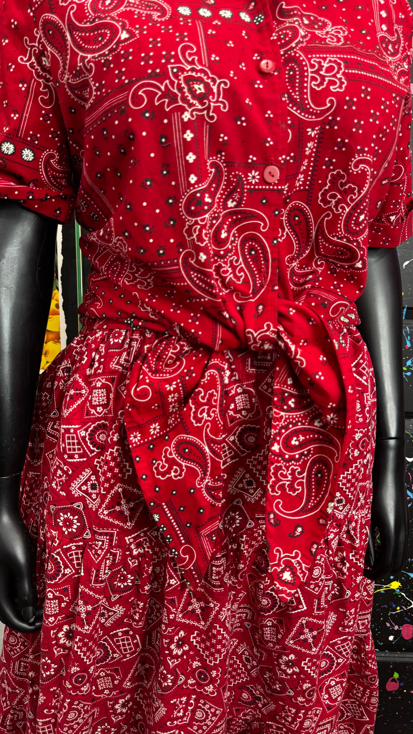 Vintage Red Bandana Skirt Set w/ Tie Front Blouse (18)
