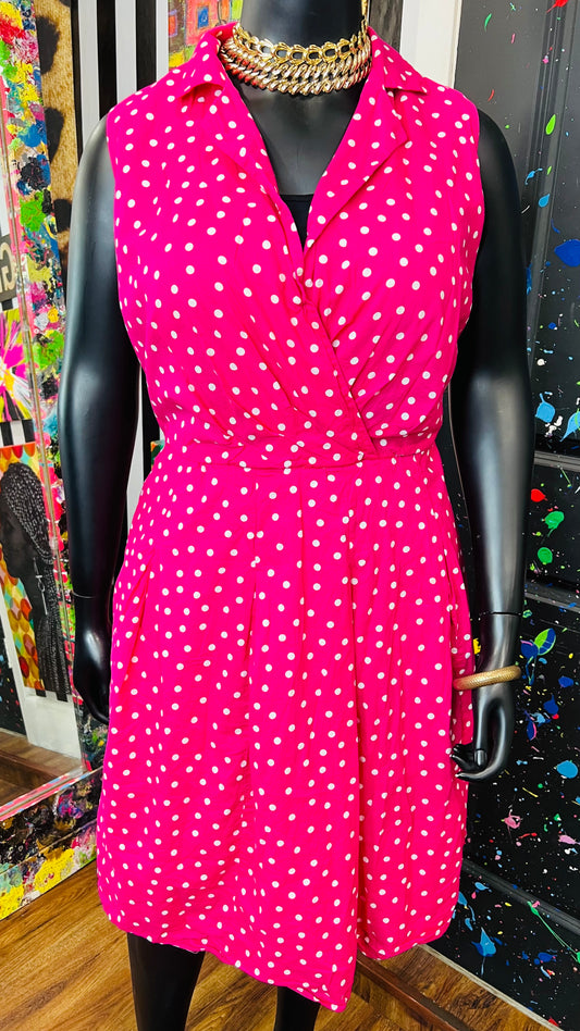 Pink Jones Polka Dot Dress (20W)