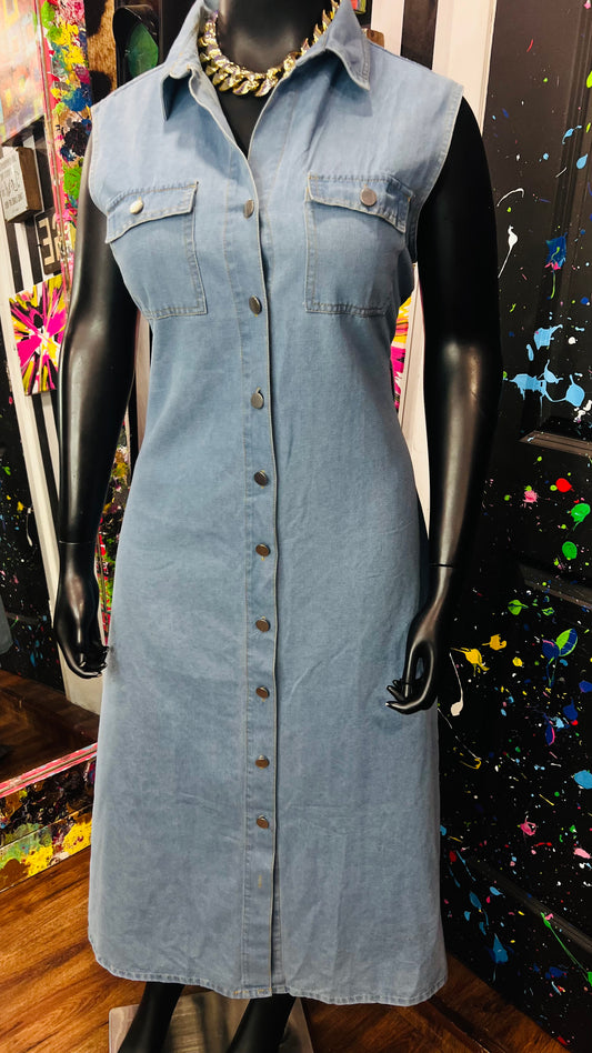 Denim Button Down Front Dress