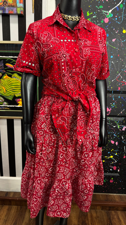 Vintage Red Bandana Skirt Set w/ Tie Front Blouse (18)