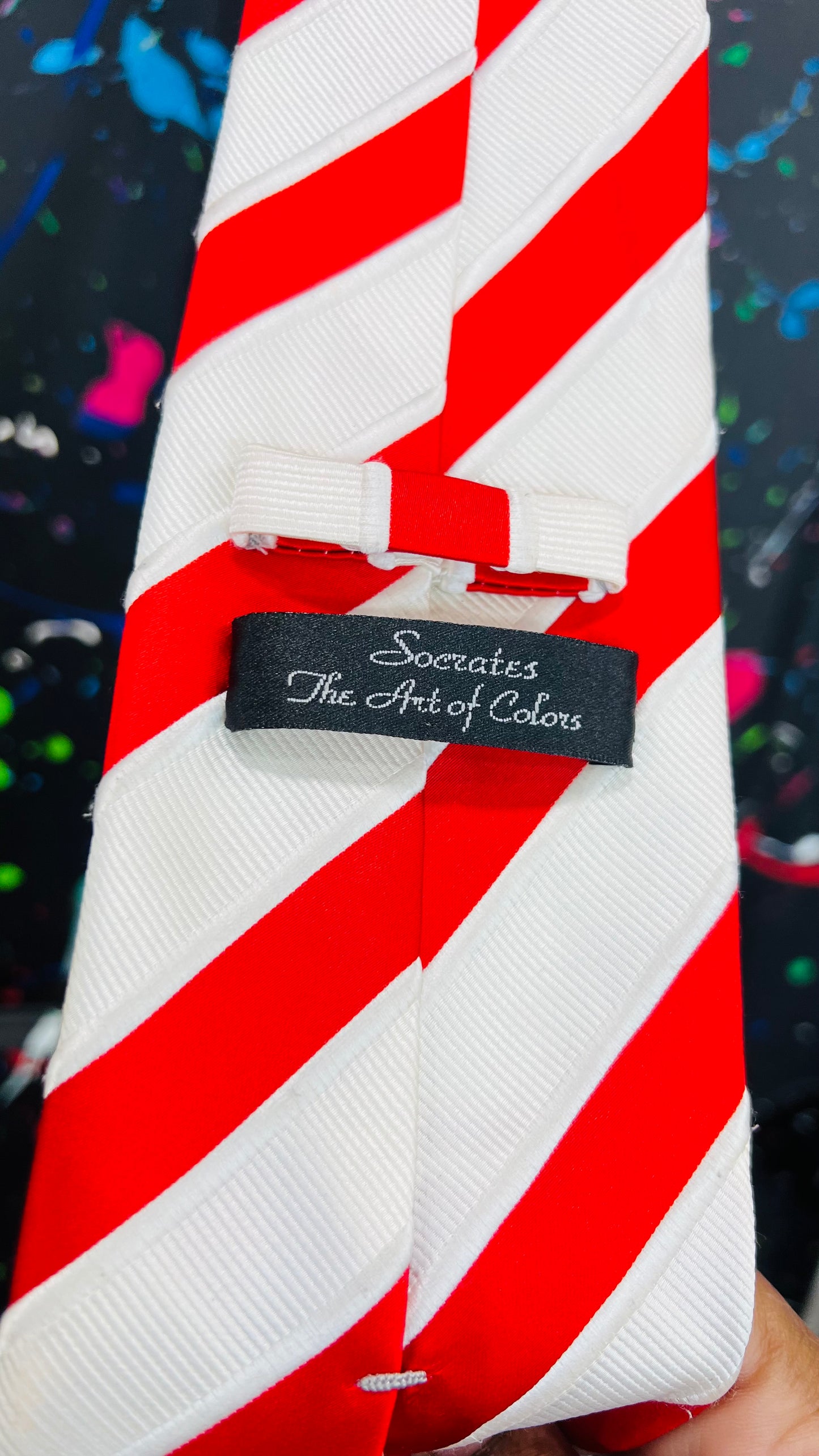 Socrates The Art of Colors Silk Neck Tie