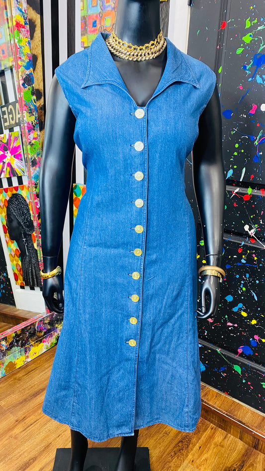 Vintage Denim Dress (24W)